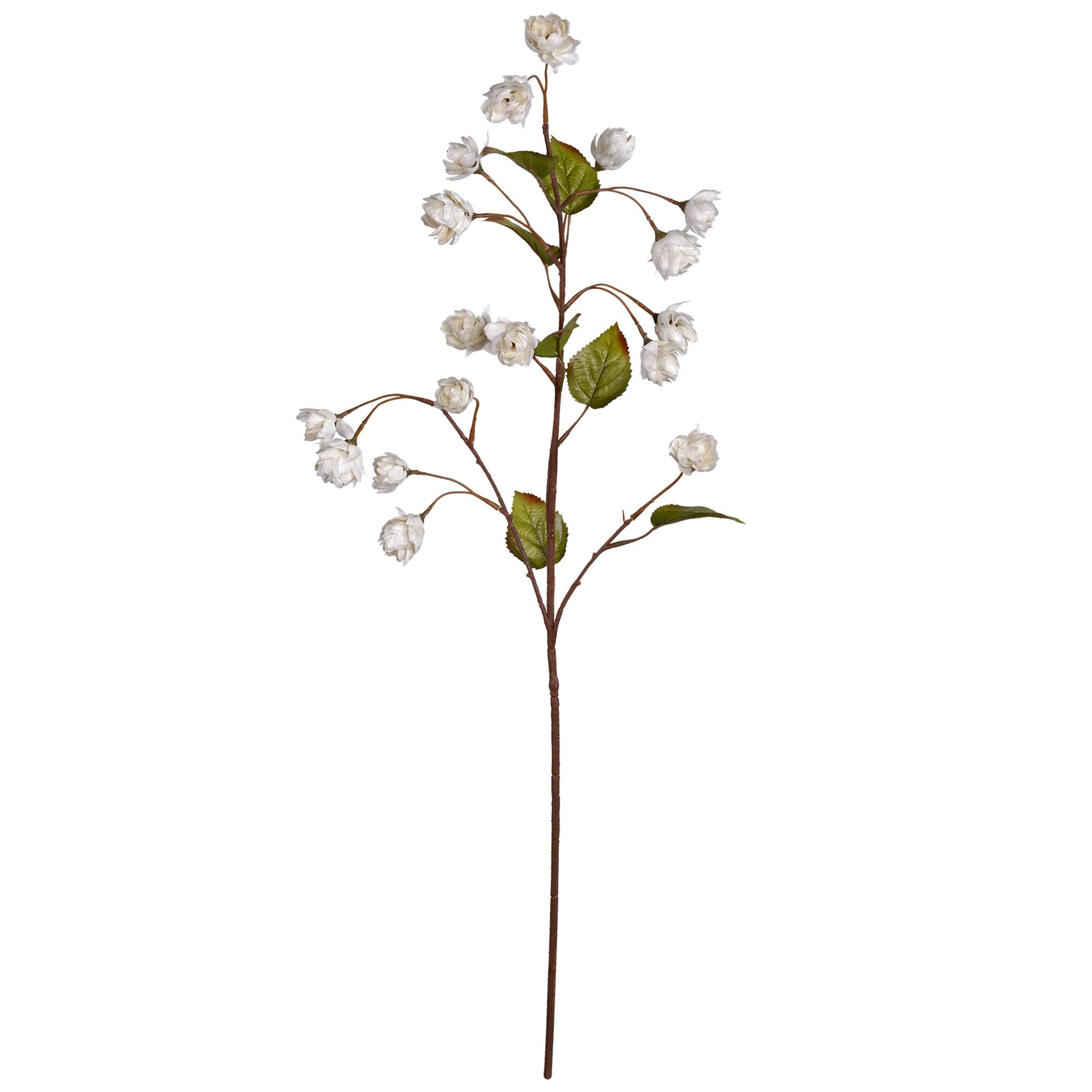Cream Hops Spray by Ashland®